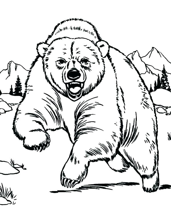 Polar Bears Coloring Pages Coloring Pages Of Bears Manners 600x727 Polar Bears Coloring Pages Coloring Pages Of Bears Manners