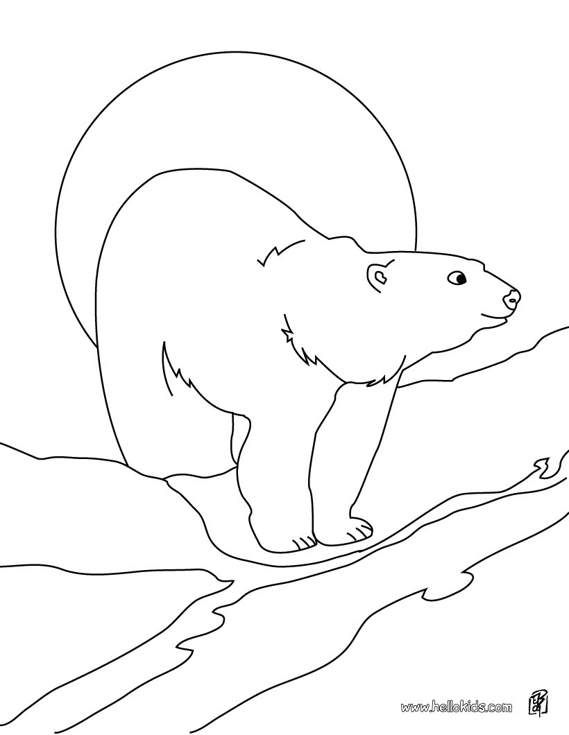 Polar Bear Printable Coloring Pages 820x1060 Polar Bear Printable Coloring Pages