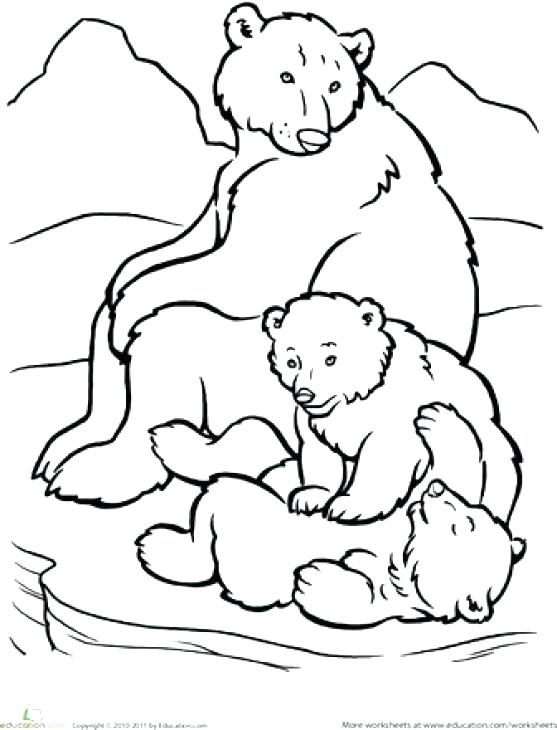 Coloring Pages Of Polar Bears Polar Bear Big Polar Bear Coloring 557x730 Coloring Pages Of Polar Bears Polar Bear Big Polar Bear Coloring