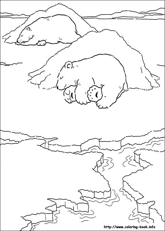 Little Polar Bear Coloring Pages On Coloring 567x794 Little Polar Bear Coloring Pages On Coloring