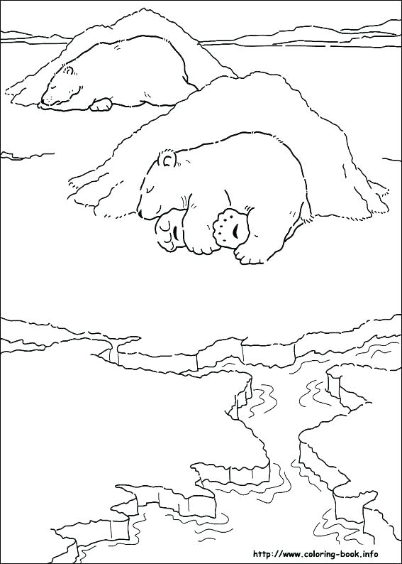 Polar Bear Coloring Sheets Bear Coloring Pages Preschool Polar 567x794 Polar Bear Coloring Sheets Bear Coloring Pages Preschool Polar