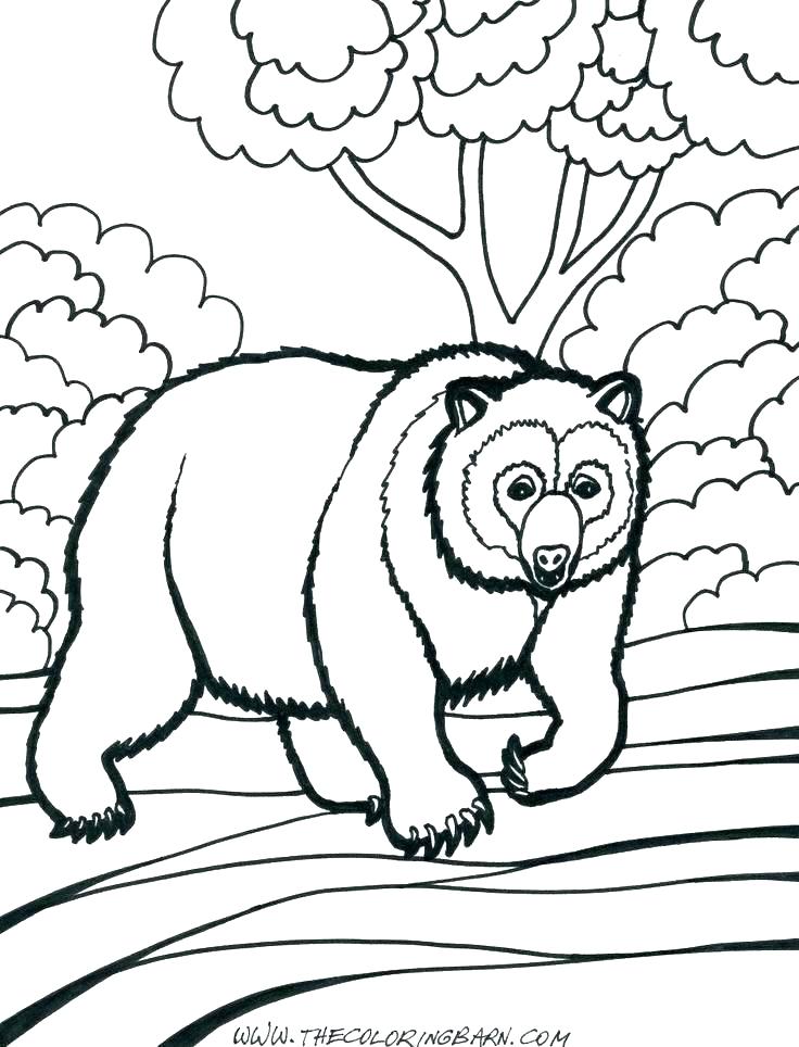 Polar Bears Coloring Pages Polar Bear Coloring Pages Printable 736x964 Polar Bears Coloring Pages Polar Bear Coloring Pages Printable