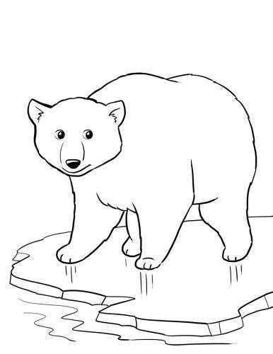 Top 10 Free Printable Polar Bear Coloring Pages Online Polar 386x500 Top 10 Free Printable Polar Bear Coloring Pages Online Polar