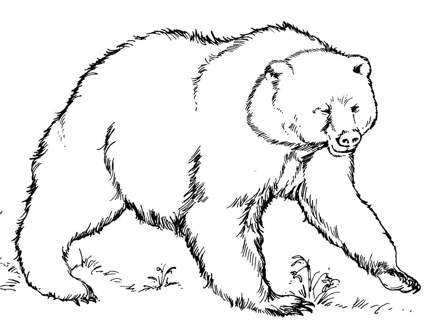 Coloring Pages Polar Bear Coloring Pages. Baby Polar Bear 1409x1080 Coloring Pages Polar Bear Coloring Pages. Baby Polar Bear