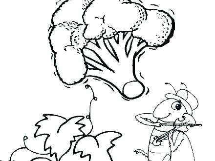 Polar Bear Coloring Pages For Preschoolers Jgheraghty.site 440x330 Polar Bear Coloring Pages For Preschoolers Jgheraghty.site