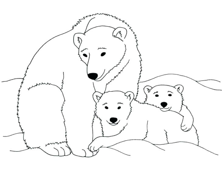 Bear Coloring Pages Preschool Bear Coloring Pages Educational Fun 730x563 Bear Coloring Pages Preschool Bear Coloring Pages Educational Fun