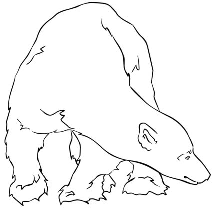 Polar Bear Coloring Papers Activities New Calendar Template Site 432x417 Polar Bear Coloring Papers Activities New Calendar Template Site