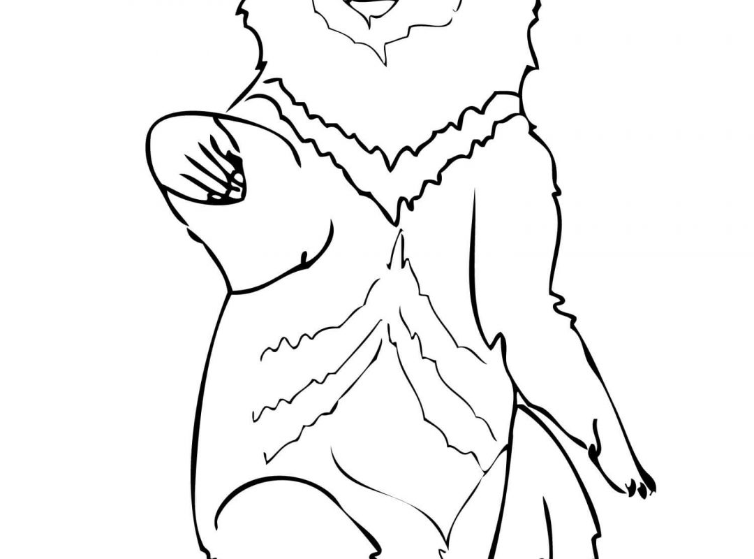 Printable Pictures Of Polar Bears Colouring Care Freeng Teddy Bear 1080x800 Printable Pictures Of Polar Bears Colouring Care Freeng Teddy Bear