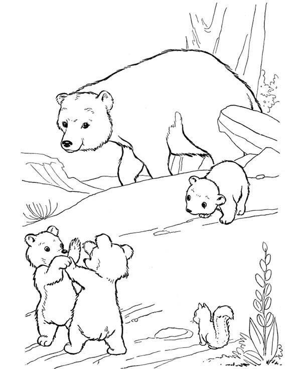Uzak Little Bear Fight Among Themselves Coloring Page 600x734 Uzak Little Bear Fight Among Themselves Coloring Page