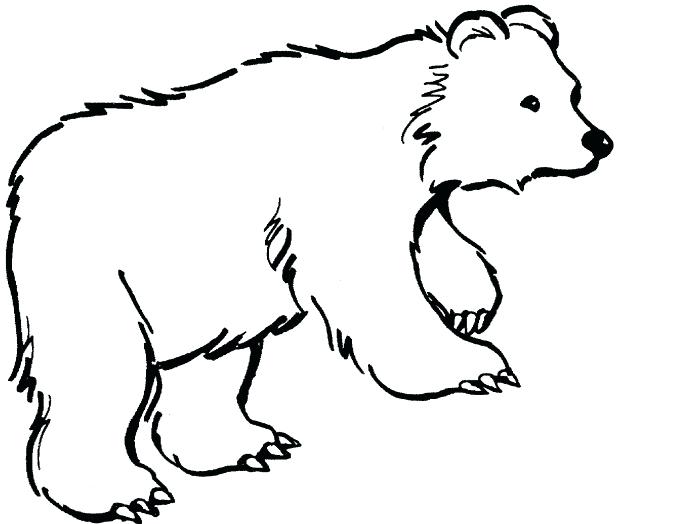 Polar Bear Cub Coloring Pages at GetColorings.com | Free printable ...