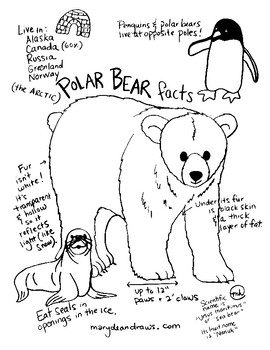 Fun Facts About Polar Bears Free Hand Drawn Printable Coloring Page 270x350 Fun Facts About Polar Bears Free Hand Drawn Printable Coloring Page