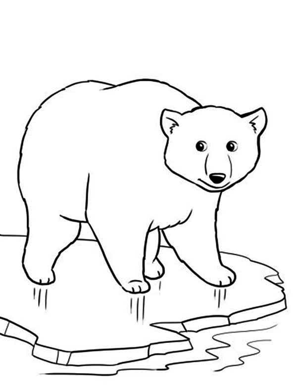 Polar Bear Coloring Pages Polar Bear On Thin Ice Coloring Page 600x777 Polar Bear Coloring Pages Polar Bear On Thin Ice Coloring Page