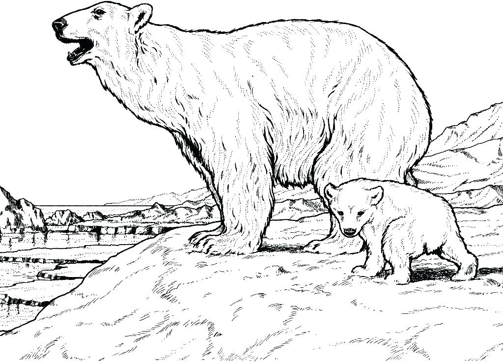 Polar Bear Printable Coloring Pages Click The Polar Bear Is Diving 1024x737 Polar Bear Printable Coloring Pages Click The Polar Bear Is Diving