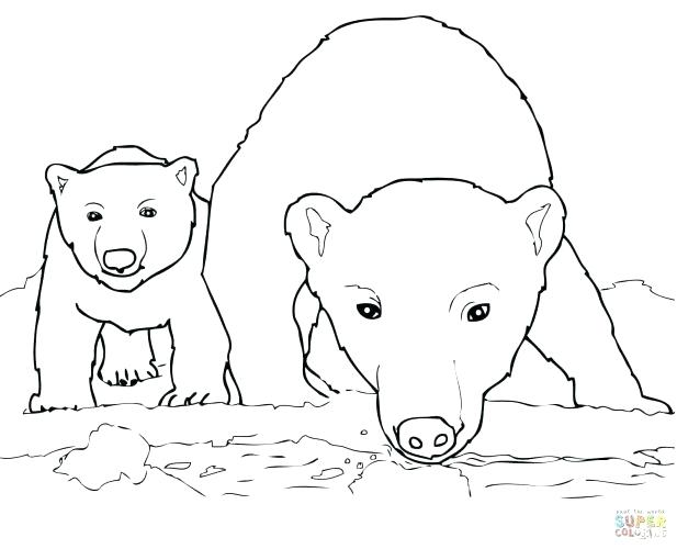 Polar Bear Printable Coloring Pages Polar Bear Coloring Page Polar 617x500 Polar Bear Printable Coloring Pages Polar Bear Coloring Page Polar