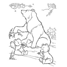 Top 10 Free Printable Polar Bear Coloring Pages Online 230x230 Top 10 Free Printable Polar Bear Coloring Pages Online
