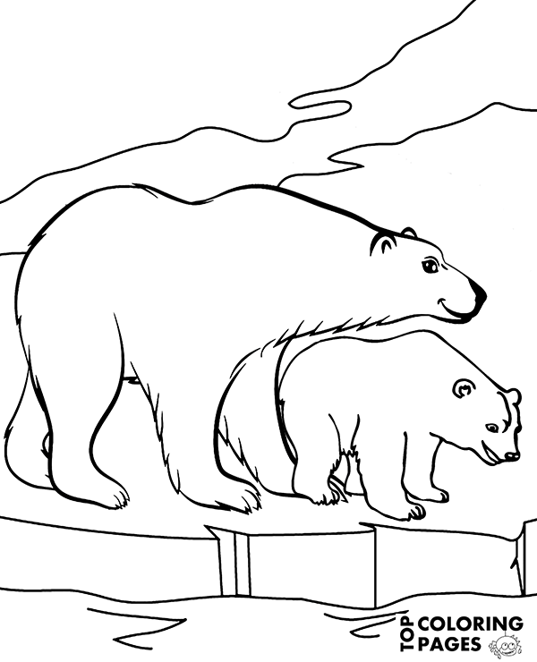 Two Beautiful Polar Bears In Arctics Printable Coloring Page, Sheet 600x740 Two Beautiful Polar Bears In Arctics Printable Coloring Page, Sheet