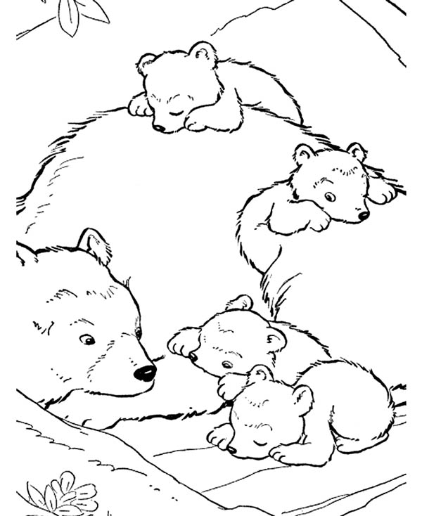 Bears Coloring Page Free Printable Coloring Pages Forest 600x734 Bears Coloring Page Free Printable Coloring Pages Forest