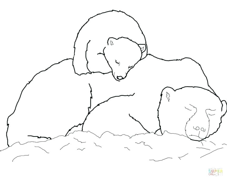 Coloring Book Polar Bear Polar Bear Coloring Pages Polar Bear 863x685 Coloring Book Polar Bear Polar Bear Coloring Pages Polar Bear