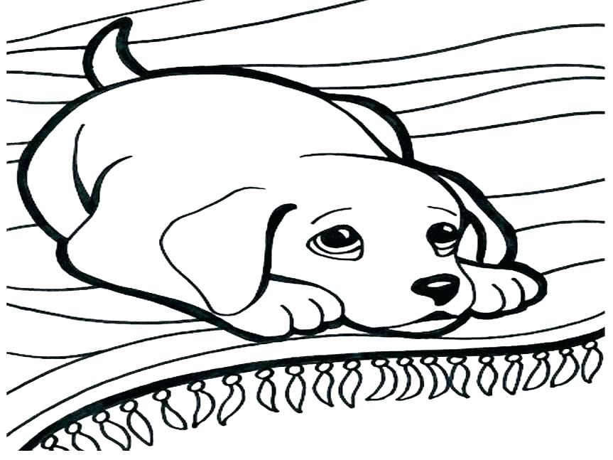 863x647 Coloring Pictures Of Dogs And Cats Coloring Pages Of Dogs Dog