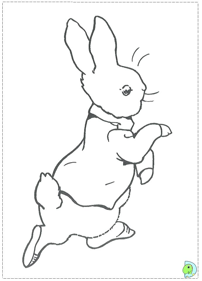 691x960 Polish Rabbit Color Chart Kids Coloring Free Rabbit Coloring Pages