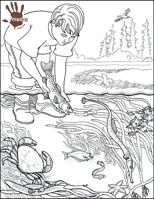 612x792 Water Pollution Drawing Colouring Pages Kids Coloring