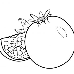 300x300 Free Coloring Pages Of Coconuts Copy Coconuts Fruits Coloring