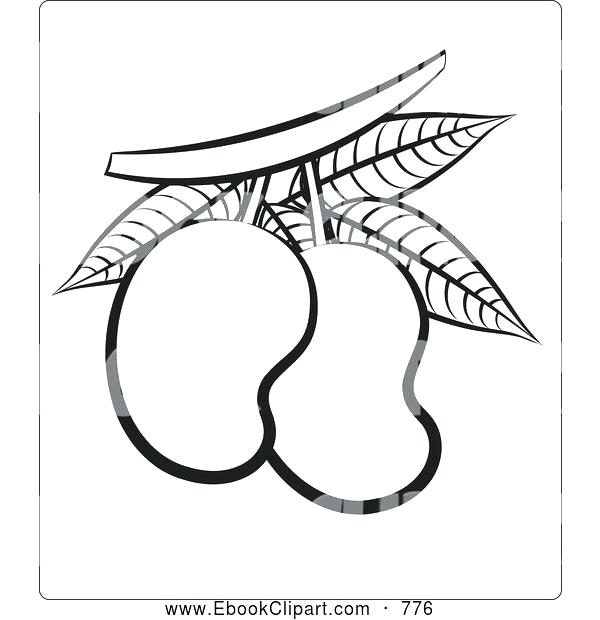 600x620 Lemon Coloring Page Lemon Coloring Page Pomegranate Lemon Meringue