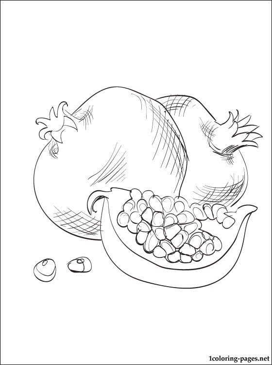 560x750 Pomegranate Coloring Page Coloring Pages Rosh Hashanah