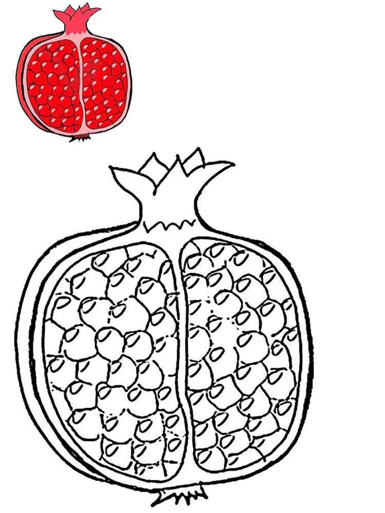 750x1000 Pomegranate Coloring Pages. Download And Print Pomegranate