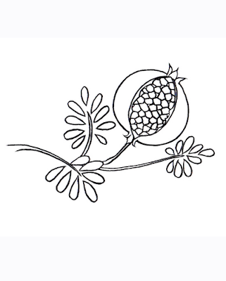 321x400 Red Pomegranate Seeds Coloring Pages Picture Minister Coloring
