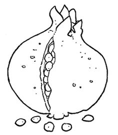 236x271 Rosh Hashanah Coloring Page Featuring Pomegranates (Hebrew