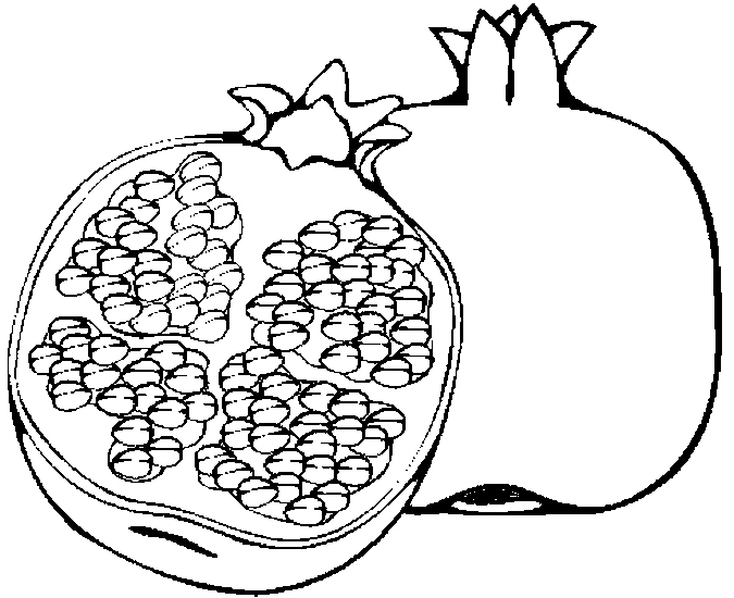675x550 Coloring Pages Pomegranate, Printable For Kids Amp Adults, Free