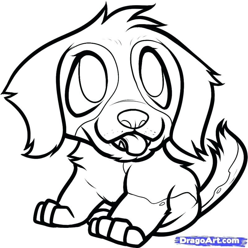 Pomeranian Coloring Pages Hippie Coloring Page By Pomeranian Puppy 800x800 Pomeranian Coloring Pages Hippie Coloring Page By Pomeranian Puppy