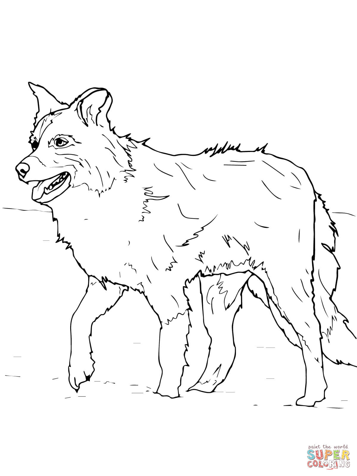 1200x1600 Pomeranian Coloring Page 362192