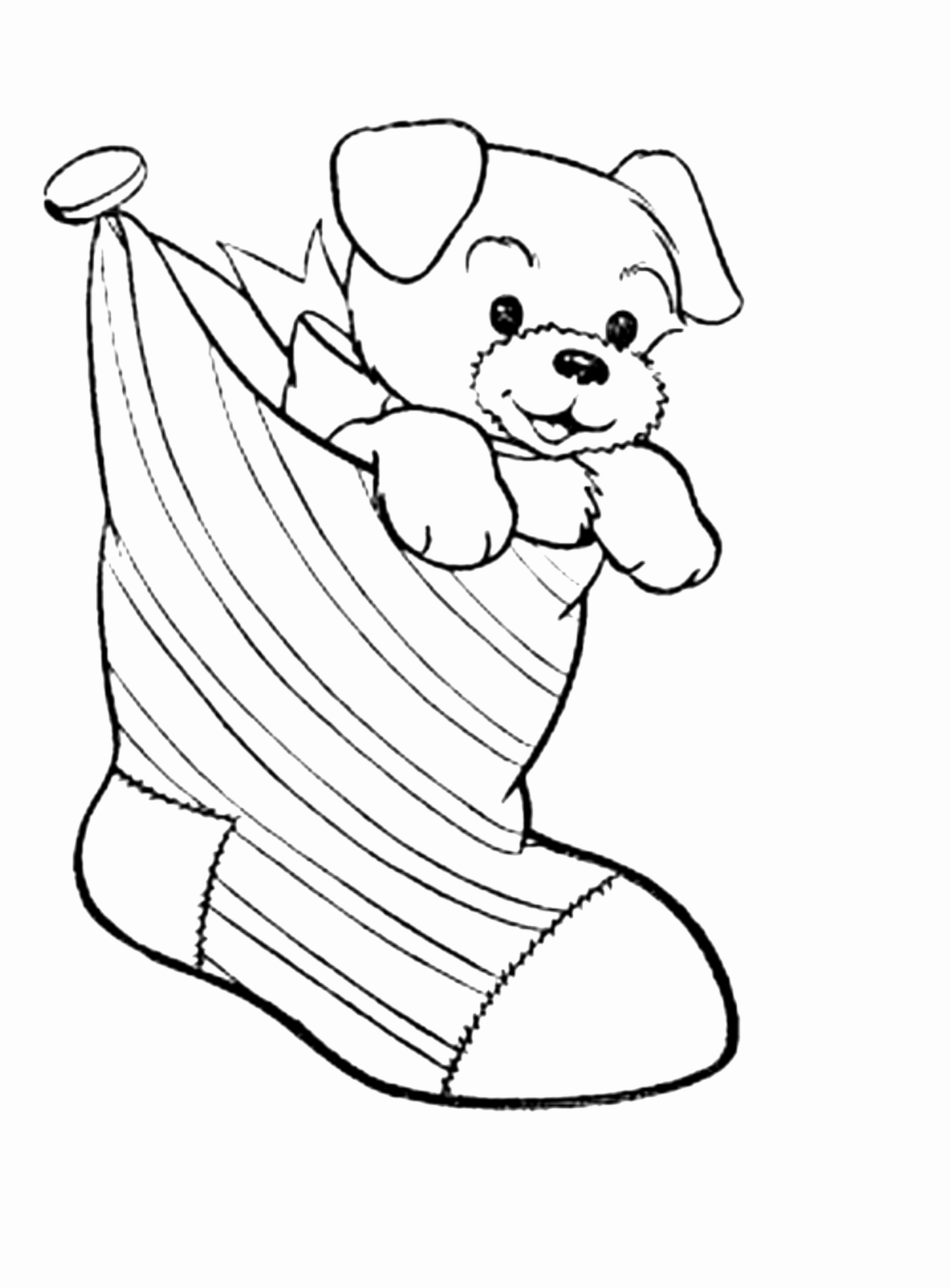 Pomeranian Puppy Coloring Pages at GetColorings.com | Free printable ...