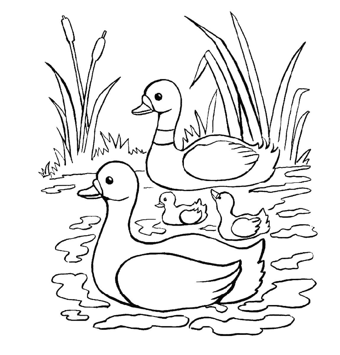 Pond Animals Coloring Pages 1150x1200 Pond Animals Coloring Pages