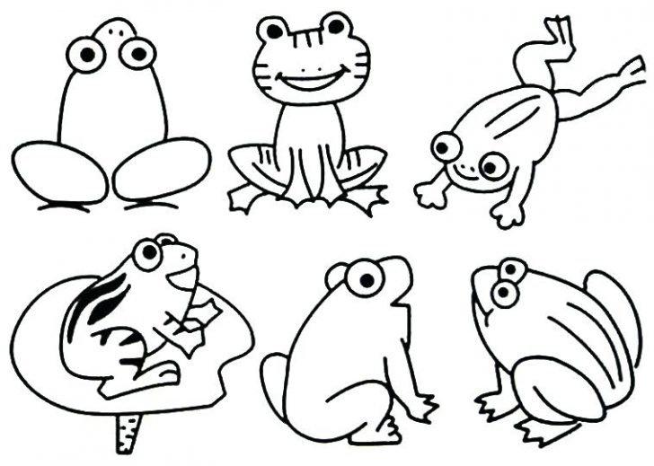 Pond Animals Coloring Pages 728x519 Pond Animals Coloring Pages