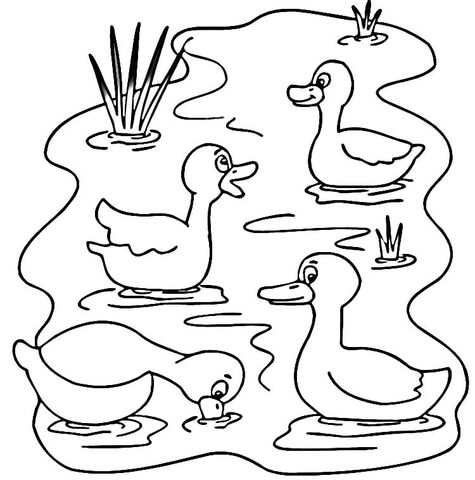 Pond Animals Coloring Pages 475x480 Pond Animals Coloring Pages