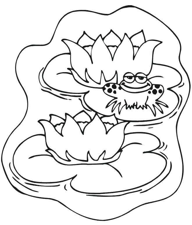 Pond Coloring Page Pond Animals Coloring Page Fish Pond Colouring 660x776 Pond Coloring Page Pond Animals Coloring Page Fish Pond Colouring