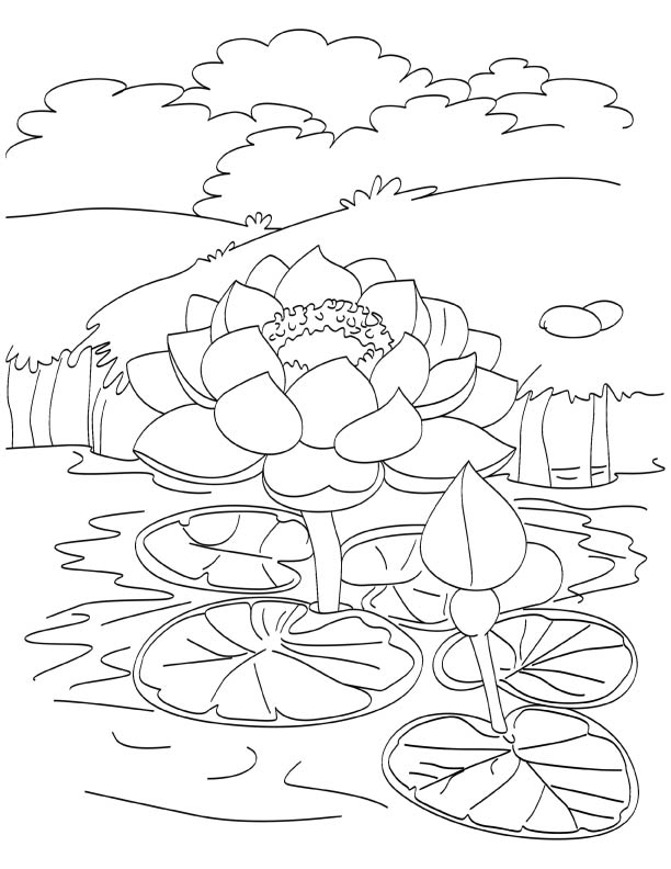 Pond Coloring Page Pond Animals Coloring Page Just Colorings 612x792 Pond Coloring Page Pond Animals Coloring Page Just Colorings
