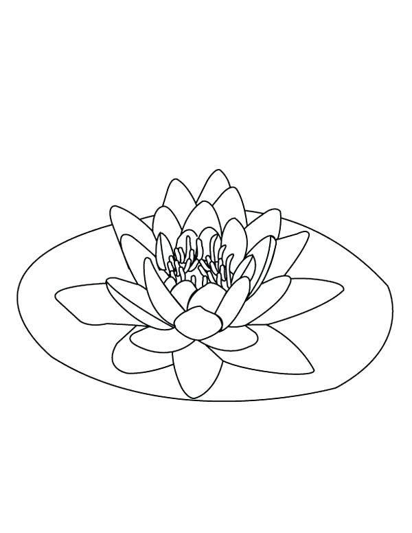 Pond Coloring Pages Pond Coloring Page Pond Habitat Coloring Pages 600x776 Pond Coloring Pages Pond Coloring Page Pond Habitat Coloring Pages