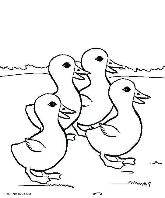 Pond Animals Coloring Pages at GetColorings.com | Free printable ...