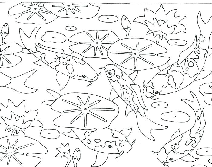 Pond Coloring Page Pond Coloring Page Coloring Pages Of Ponds Pond 700x553 Pond Coloring Page Pond Coloring Page Coloring Pages Of Ponds Pond