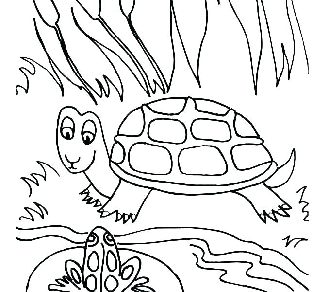 Pond Coloring Pages 678x600 Pond Coloring Pages
