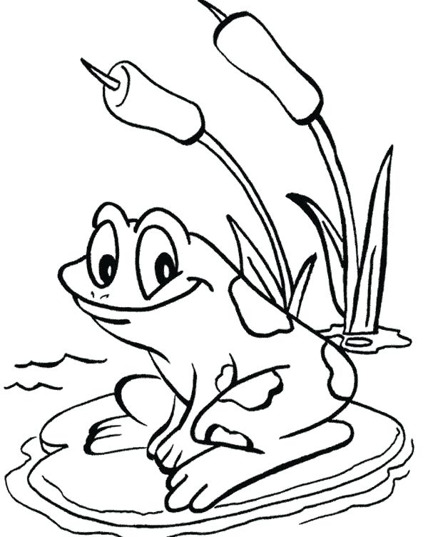 Lily Pad Frog Love To Sit On Lily Pad Pond Coloring Pages 600x752 Lily Pad Frog Love To Sit On Lily Pad Pond Coloring Pages
