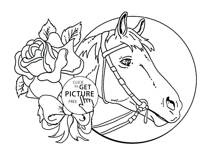 Coloring Pages Of Horses And Ponies Horse Coloring Pages Free 736x551 Coloring Pages Of Horses And Ponies Horse Coloring Pages Free
