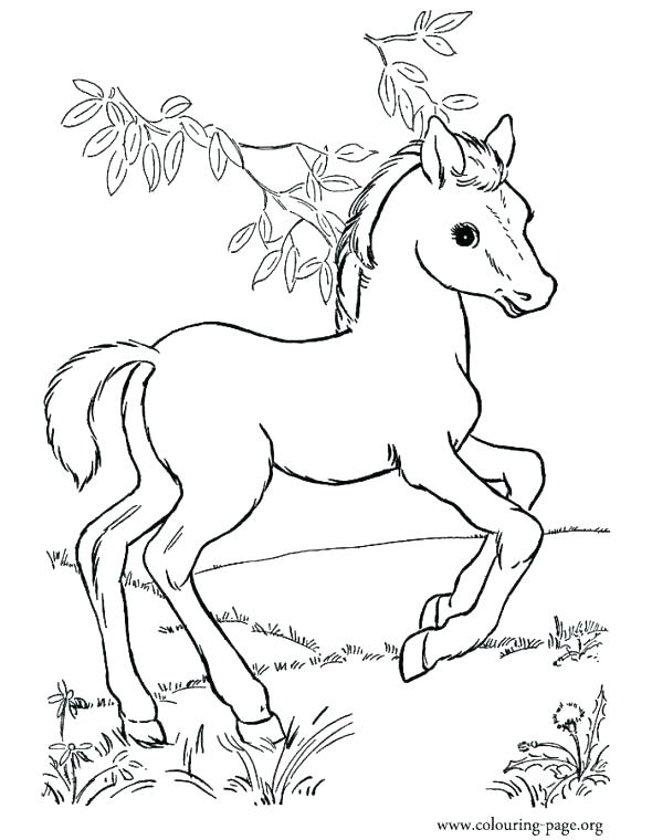 Spirit Horse Coloring Pages Free Horse Coloring Pages Horse 590x760 Spirit Horse Coloring Pages Free Horse Coloring Pages Horse
