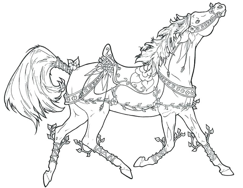 Coloring Horse Pages Elegant Coloring Pages Of Horses Print Free 800x620 Coloring Horse Pages Elegant Coloring Pages Of Horses Print Free