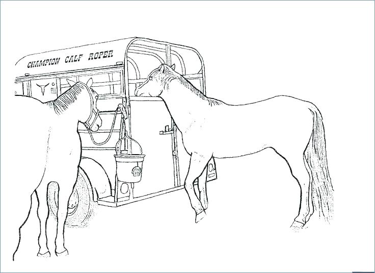 Coloring Pages Of Horses Ponies Coloring Pages Of Horses 736x535 Coloring Pages Of Horses Ponies Coloring Pages Of Horses