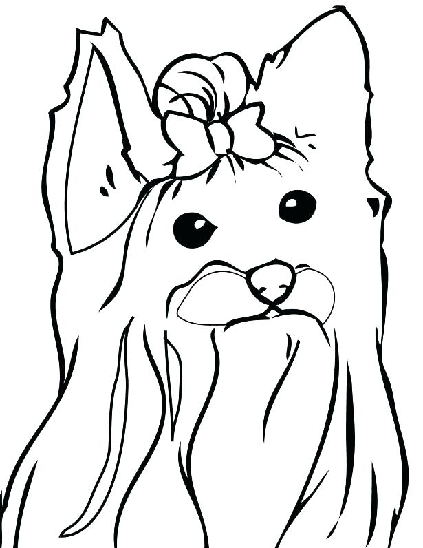 Yorkie Coloring Pages Coloring Page Pin Dog Terrier Printable 615x796 Yorkie Coloring Pages Coloring Page Pin Dog Terrier Printable